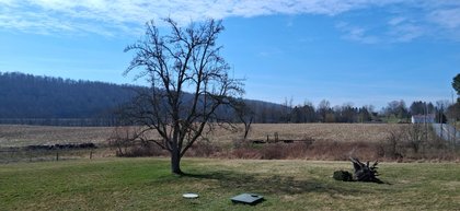 20260321_111346