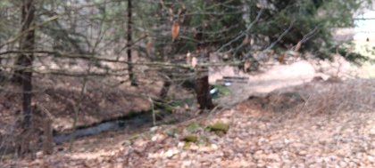 IMG_20250414_150002