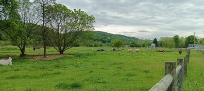 IMG_20250512_134536