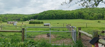 IMG_20250512_134611
