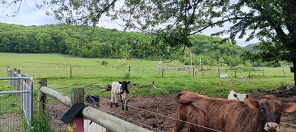 IMG_20250512_134615