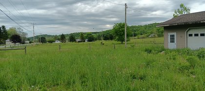 IMG_20250512_134650