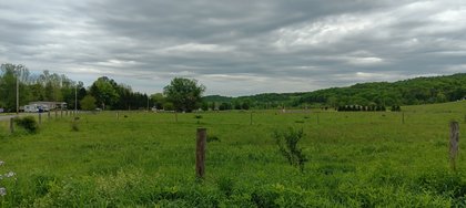 IMG_20250512_134814