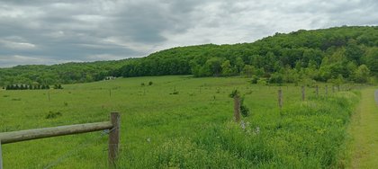 IMG_20250512_134848