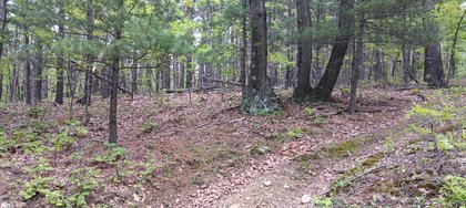 IMG_20250512_135549