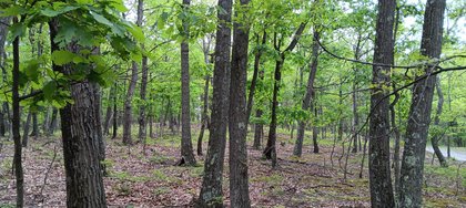 IMG_20250512_135615