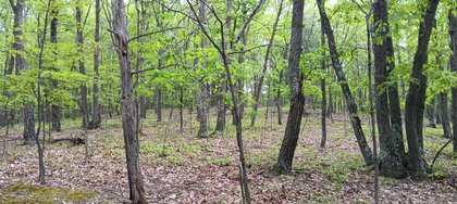 IMG_20250512_135646