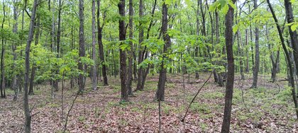 IMG_20250512_135711