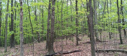 IMG_20250512_135734