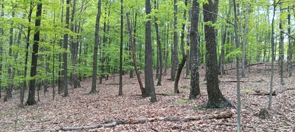 IMG_20250512_135806