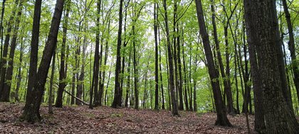 IMG_20250512_140008