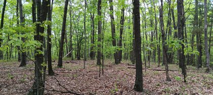 IMG_20250512_140231