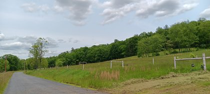 IMG_20250601_131136