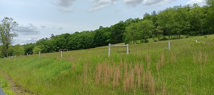 IMG_20250601_131157