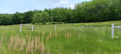IMG_20250601_131212