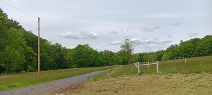 IMG_20250601_133512