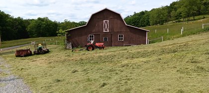 IMG_20250601_152146