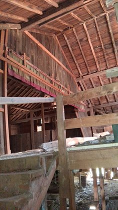 IMG_20250825_102337
