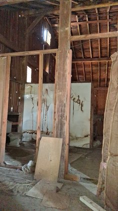 IMG_20250825_102344